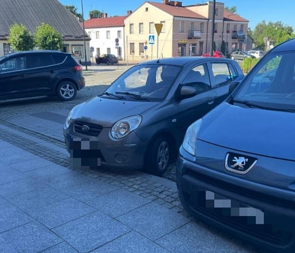 Trwa akcja poddębickiej policji. Co kontrolują funkcjonariusze?-10038