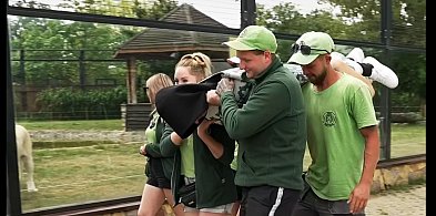 „My karmimy – Ty podziwiasz. Nie odwrotnie!”. Ważna akcja w Zoo Borysew-10063