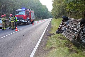 Zakrzew. Sarna wbiegła na drogę. Dwa auta rozbite-10624