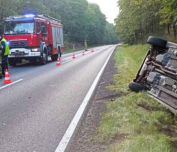 Zakrzew. Sarna wbiegła na drogę. Dwa auta rozbite-10624