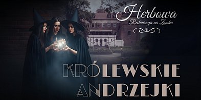 Królewski bal andrzejkowy już w listopadzie na Zamku w Uniejowie-10694