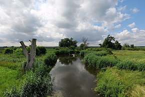 Co dalej z nowym parkiem narodowym? Minister klimatu zdradza plan po wecie-10885