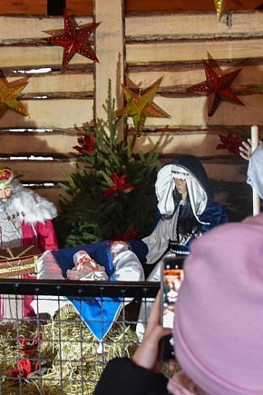 Żywa szopka bożonarodzeniowa w Zoo Borysew-287