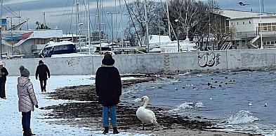 Ferie już za kilka dni. W jakich terminach odpoczywają uczniowie kolejnych wojewód