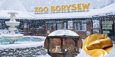 Zoo w Borysewie gotowe na ferie. Wychowankowie domów dziecka wejdą za 1 zł!