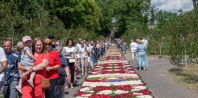 Tłumy na uroczystościach Bożego Ciała w Spycimierzu. Tak wyglądały kwietne dywany