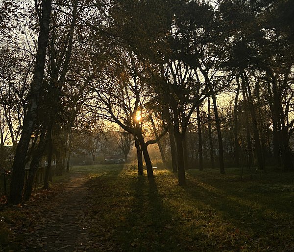 Nadchodzi najkrótszy dzień w 2025 roku. Sprawdź, kiedy przypadnie-11080