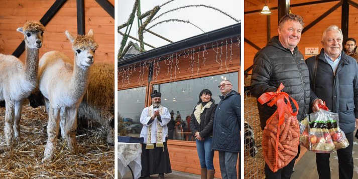 Bezpłatna atrakcja czynna codziennie pod Poddębicami [ZDJĘCIA]