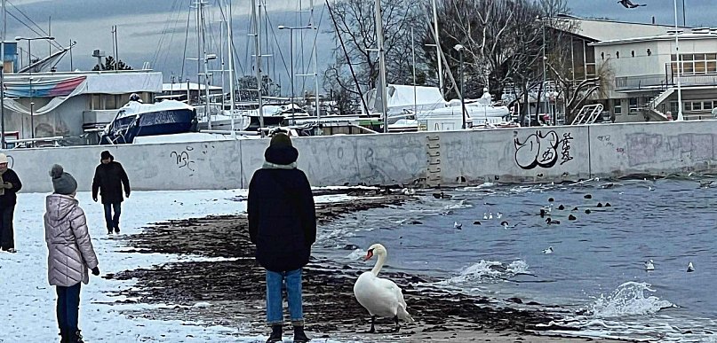 Ferie już za kilka dni. W jakich terminach odpoczywają uczniowie kolejnych wojewód