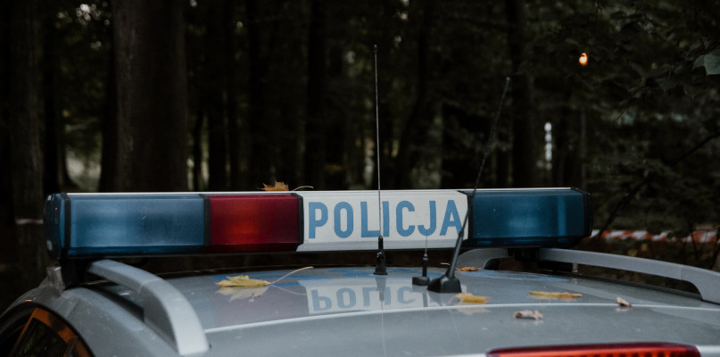 zdjęcie ilustracyjne