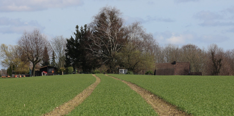 Zdjęcie ilustracyjne Fot. pixaby