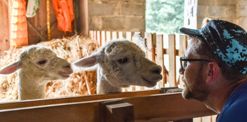 W Lekaszynie terapeuci pomagają poprzez kontakt ze zwierzętami - czworonożni przyjaciele wspomagają dzieci- stymulują ich rozwój, wspierają leczenie, są motywatorem do nauki, wyzwalaczem pozytywnych emocji. 
