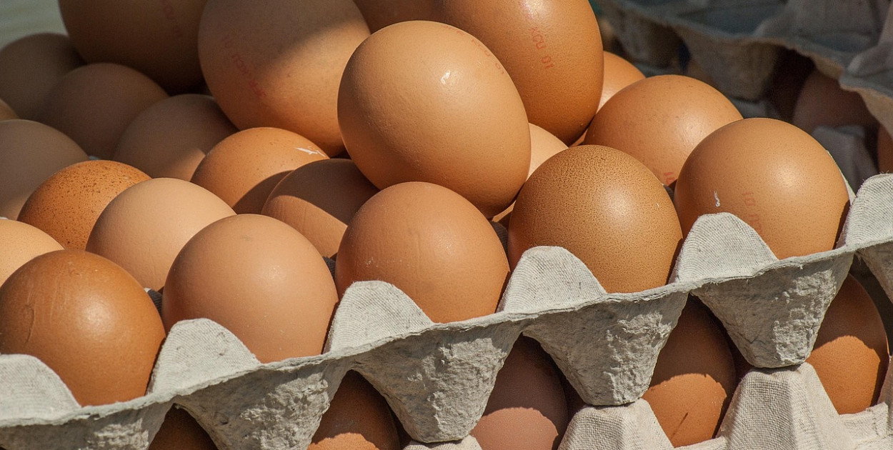 Sanepid ostrzega przed jajami z salmonellą. Lepiej sprawdź numer partii!