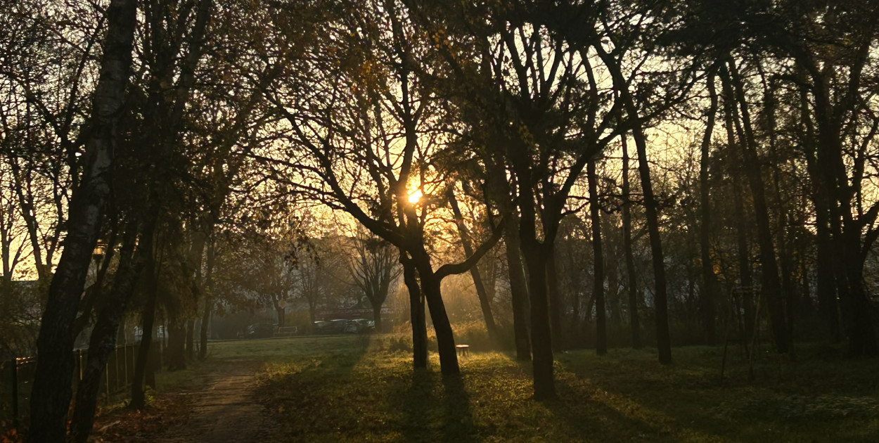 Nadchodzi najkrótszy dzień w 2025 roku. Sprawdź, kiedy przypadnie