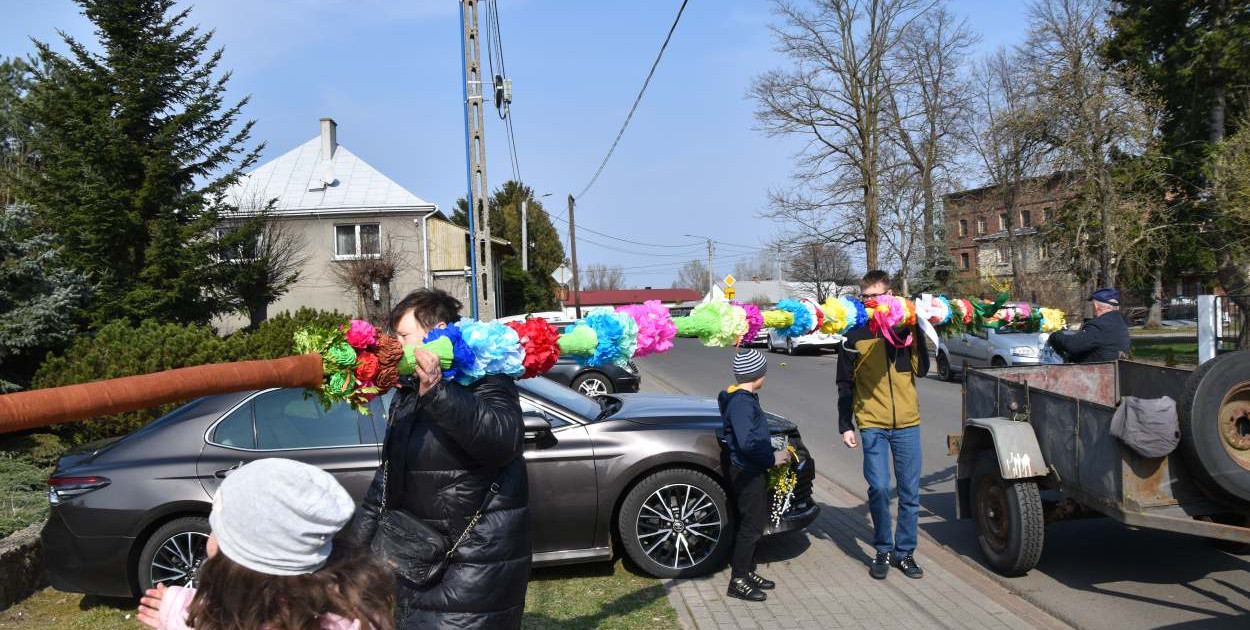 Osiem metrów tradycji. Olbrzymie palmy wielkanocne powstają w powiecie poddębickim