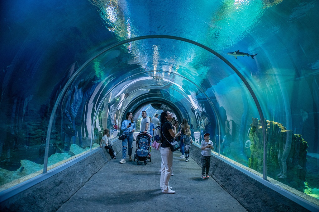 Orientarium Zoo Łódź  to najnowocześniejszy w Europie pawilon poświęcony faunie i florze Azji Południowo Wschodniej.